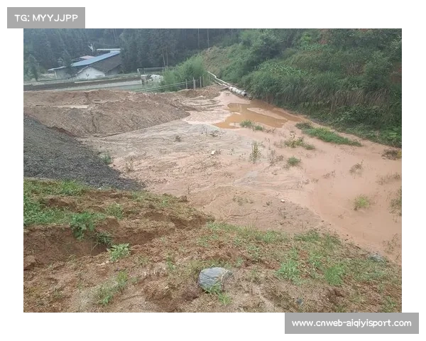 国际环保组织强烈抗议成都沙场开采破坏生态环境呼吁加强监管保护自然资源
